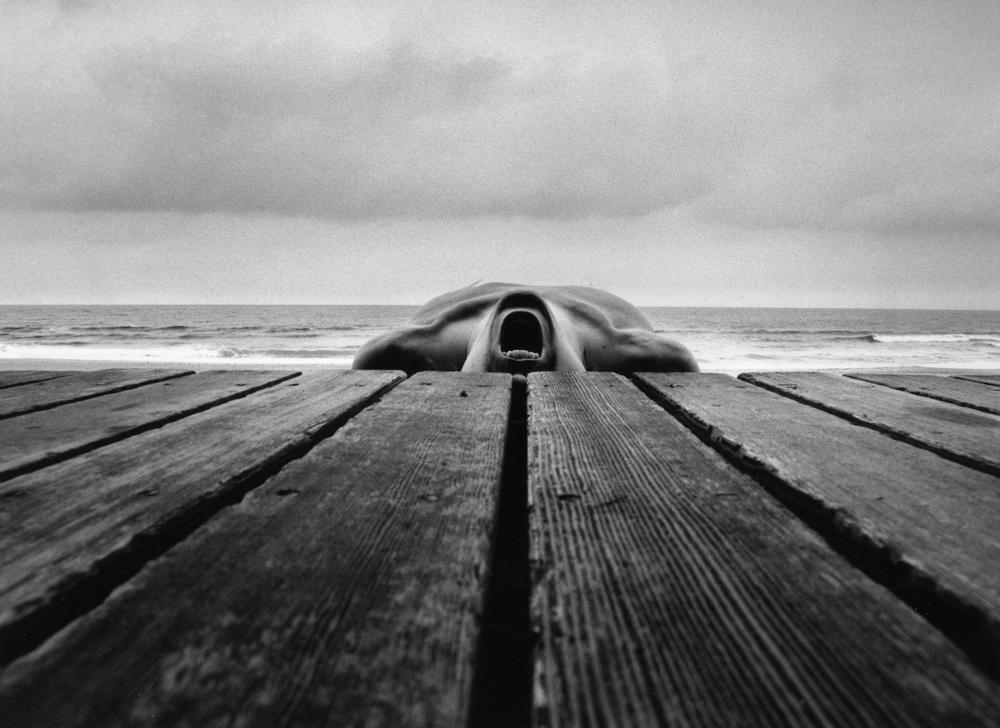 les rencontres de la photographie 2013